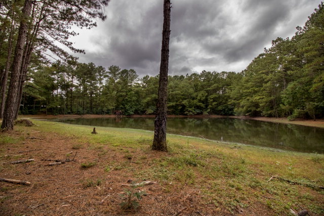 100 Pendragon Place, Dothan, AL 36305