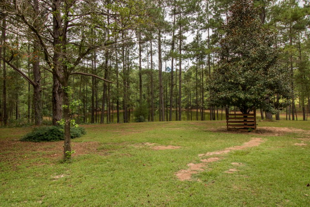 100 Pendragon Place, Dothan, AL 36305