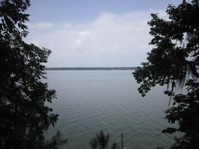 2939 Calhoun Drive, Abbeville, AL 36310