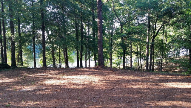 0 Powell Trace, Abbeville, AL 36310