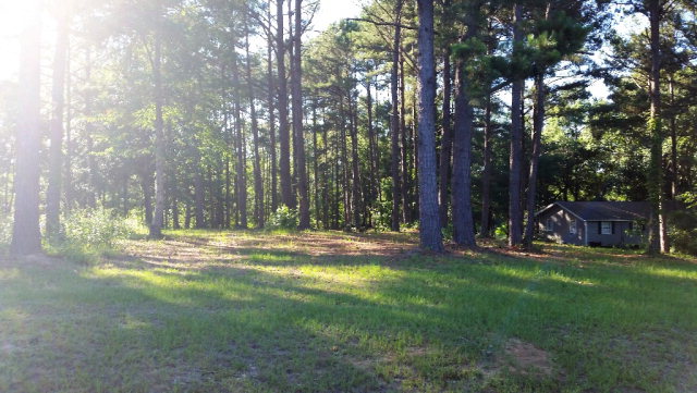 0 Powell Trace, Abbeville, AL 36310