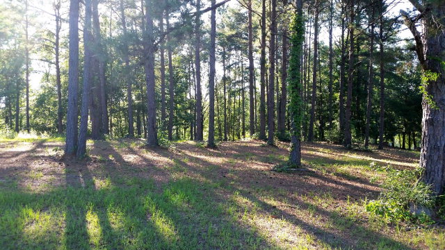 0 Powell Trace, Abbeville, AL 36310
