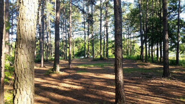 0 Powell Trace, Abbeville, AL 36310