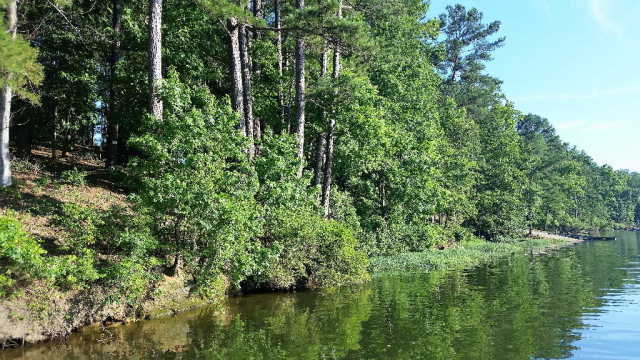 0 Powell Trace, Abbeville, AL 36310