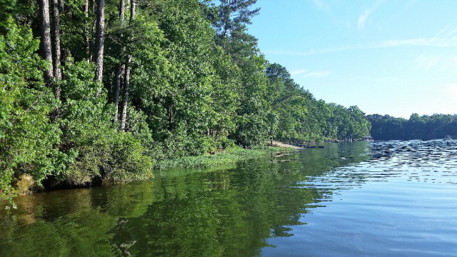 0 Powell Trace, Abbeville, AL 36310