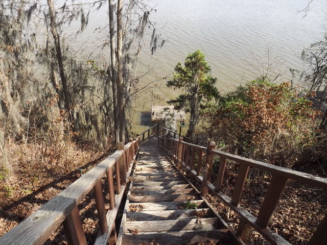 2959 Calhoun Drive, Abbeville, AL 36310