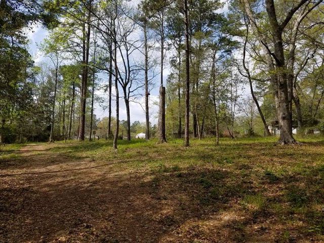 859 Calhoun Dr, Abbeville, AL 36310