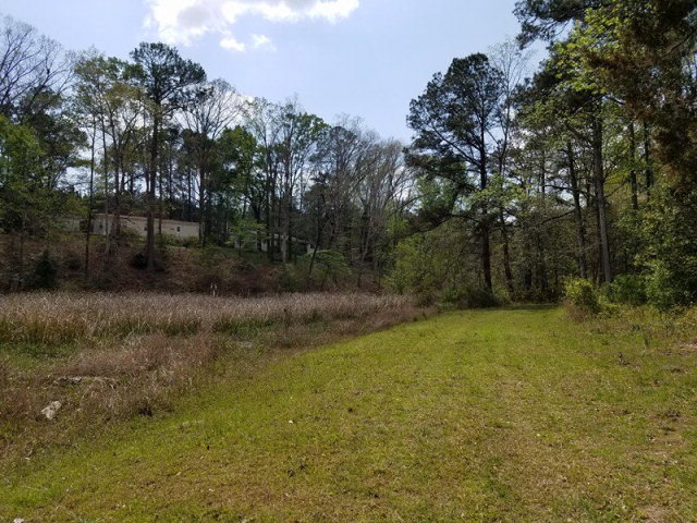 859 Calhoun Dr, Abbeville, AL 36310