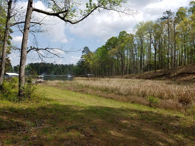 859 Calhoun Dr, Abbeville, AL 36310