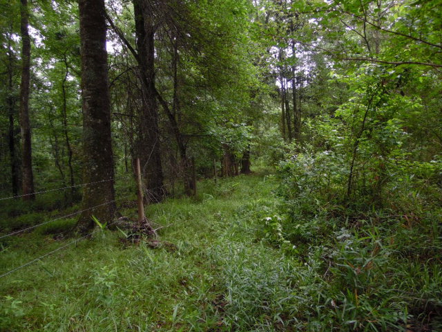 200 Evie Lane, Ashford, AL 36312