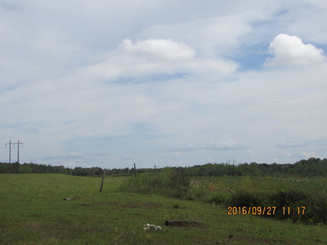 4090 Cedar Springs, Ashford, AL 36312