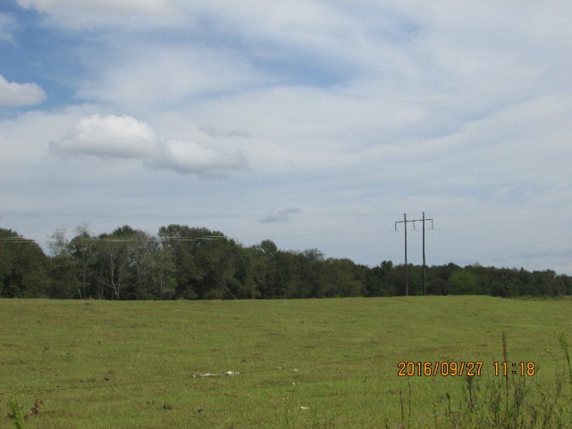 4090 Cedar Springs, Ashford, AL 36312