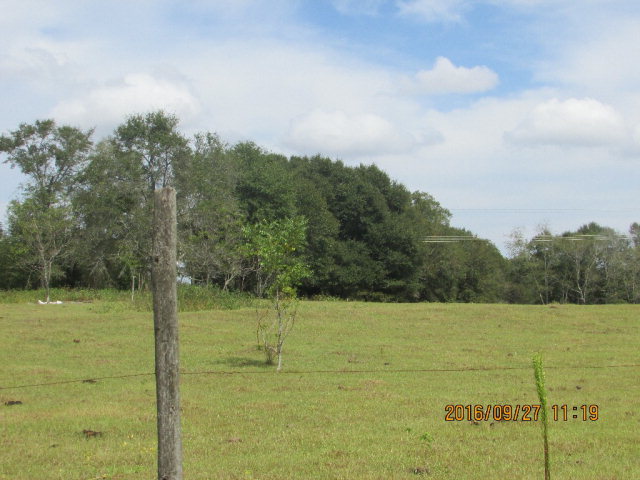 4090 Cedar Springs, Ashford, AL 36312