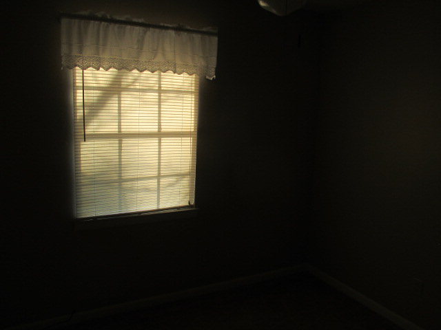 319 Ruth Cir, Cowarts, AL 36321