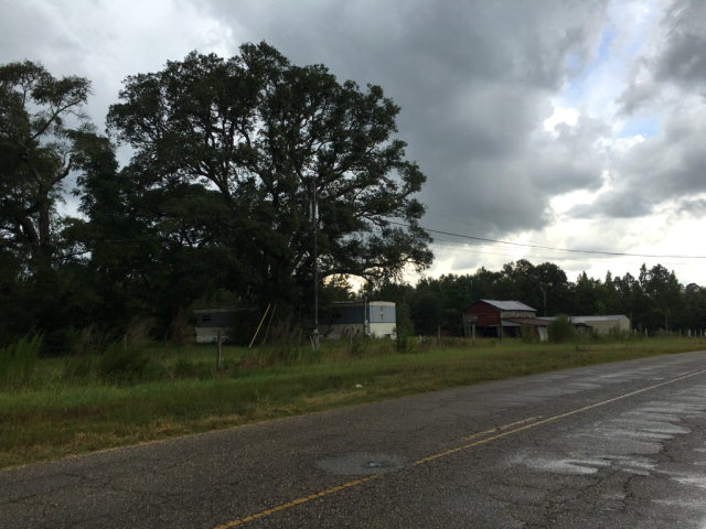 40 SKYLINE AVE , Geneva, AL 36340