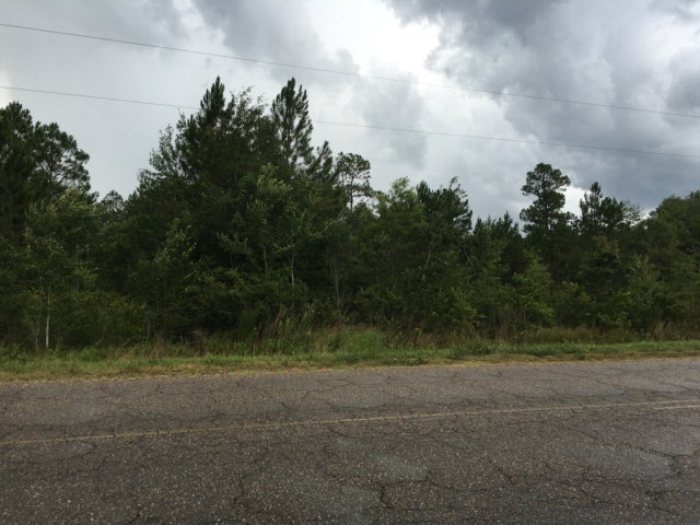 40 SKYLINE AVE , Geneva, AL 36340
