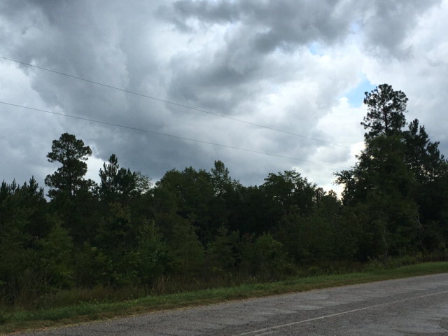 40 SKYLINE AVE , Geneva, AL 36340
