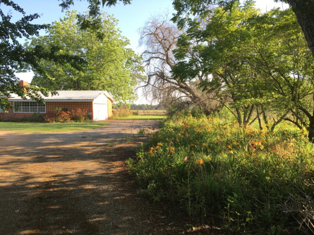 232 JIM MARTIN RD, Hartford, AL 36344