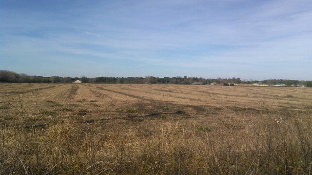 0 AL Hwy 134, Headland, AL 36345