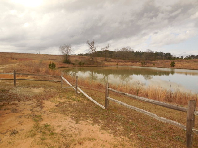 0 Henry County Road 49, Headland, AL 36345