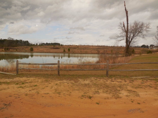 0 Henry County Road 49, Headland, AL 36345