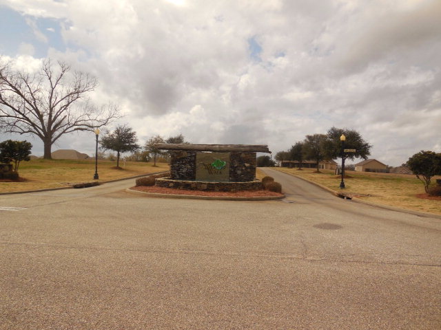0 Henry County Road 49, Headland, AL 36345
