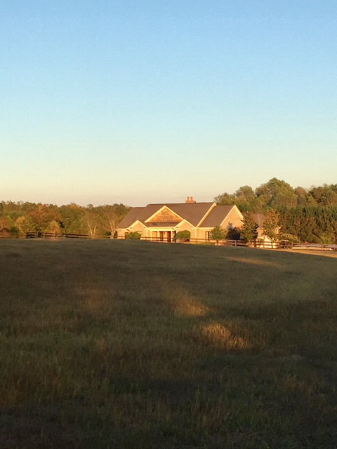 955 Co Rd 3, Headland, AL 36345