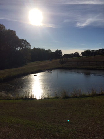 955 Co Rd 3, Headland, AL 36345
