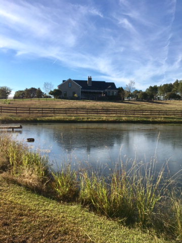 955 Co Rd 3, Headland, AL 36345