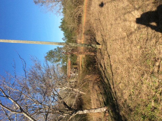 107 COUNTY ROAD 128, Jack, AL 36346