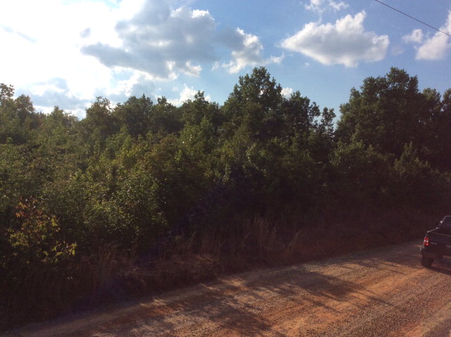 0 Co. Rd. 207, Jack, AL 36346