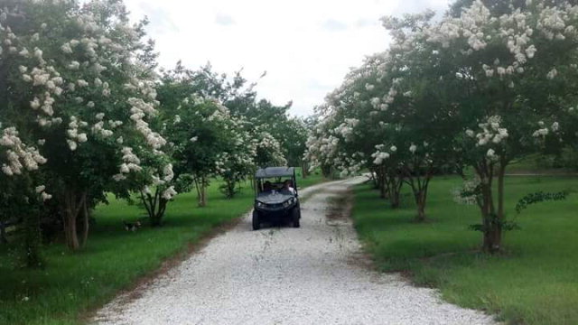 209 County Road 514, Midland City, AL 36350