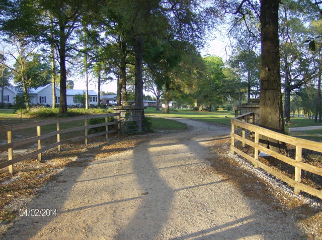 209 County Road 514, Midland City, AL 36350