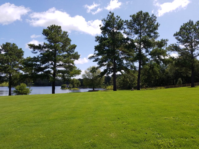 205 Griffingate, Midland City; Dothan, AL 36350