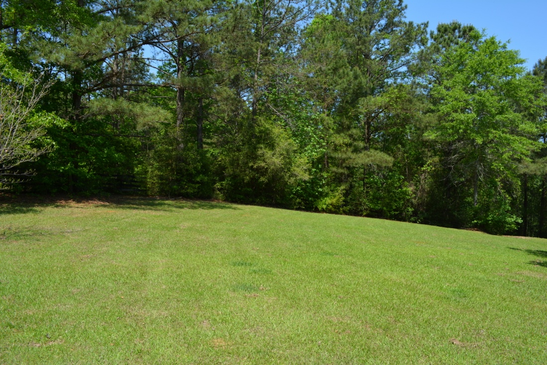 1015 Co Rd 153, New Brockton, AL 36351