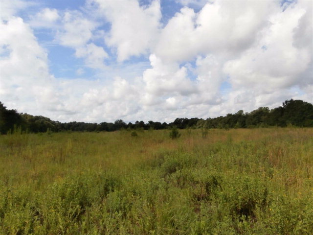 6469 Judge Logue Rd, Newton, AL 36352