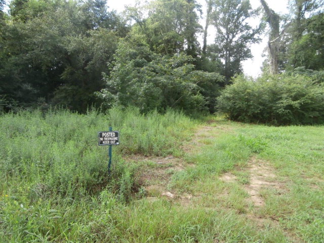 6469 Judge Logue Rd, Newton, AL 36352