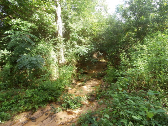 6469 Judge Logue Rd, Newton, AL 36352