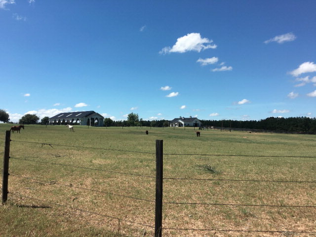 640 Sanders Road, Newton, AL 36352