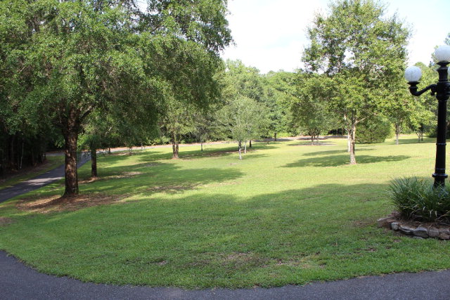 0 Wayne Ford Rd., Newton, AL 36352
