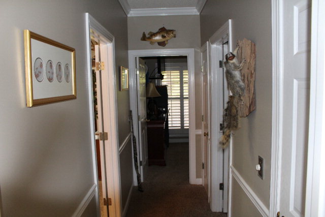 0 Wayne Ford Rd., Newton, AL 36352