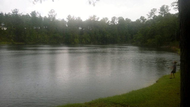 5496 Henry Co Rd 99, None, AL 36353