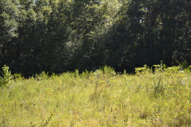 0 Phillips Drive, Ozark, AL 36360