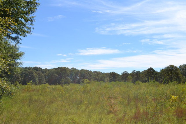 0 Phillips Drive, Ozark, AL 36360