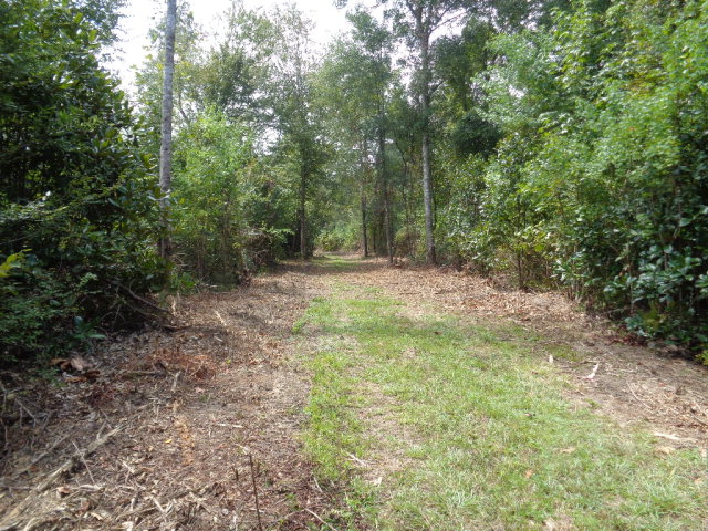 Lot 9 Cty Rd 36, Ozark, AL 36360