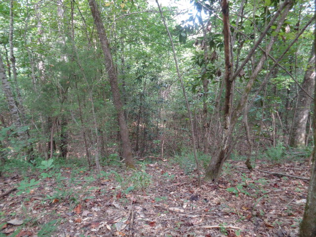 Lot 9 Cty Rd 36, Ozark, AL 36360