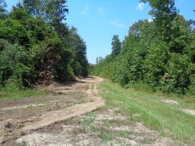 Lot 9 Cty Rd 36, Ozark, AL 36360