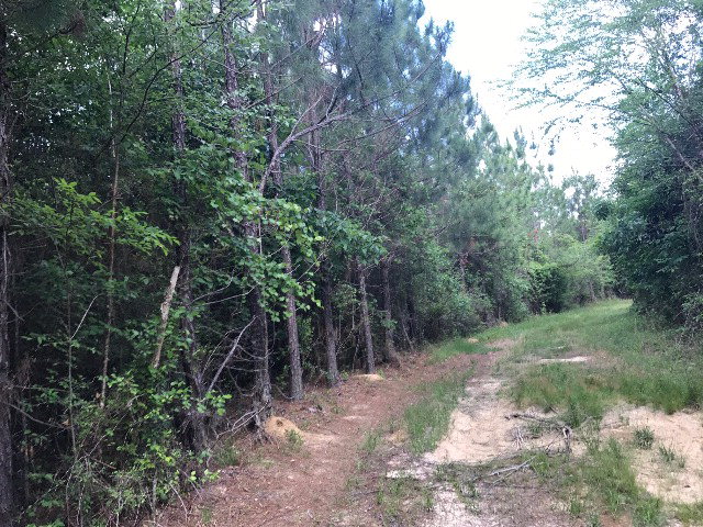 0 Co Rd 54, Skipperville, AL 36374