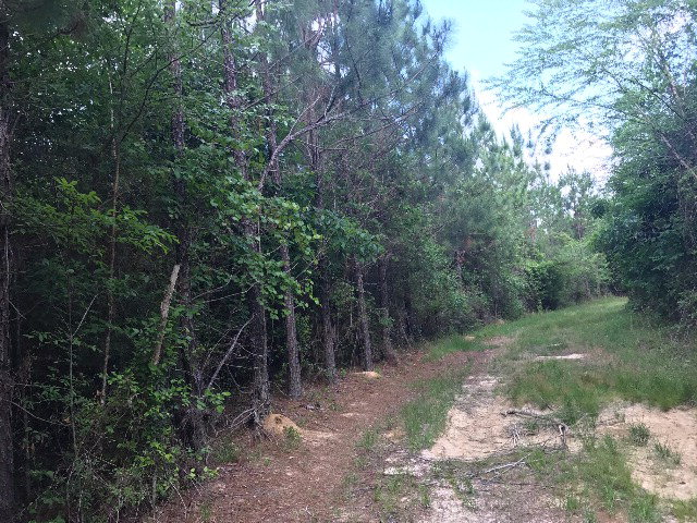 0 Co Rd 54, Skipperville, AL 36374
