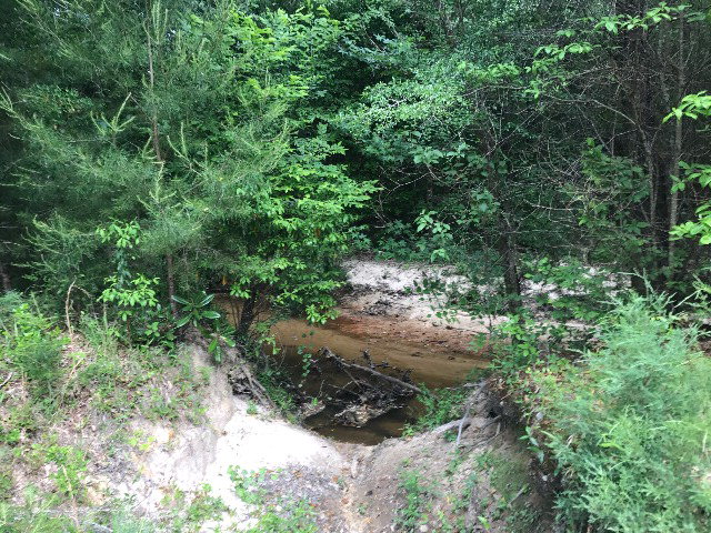 0 Co Rd 54, Skipperville, AL 36374